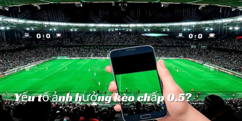 Kèo 1/2 bị ảnh hưởng bởi nhiều yếu tố  