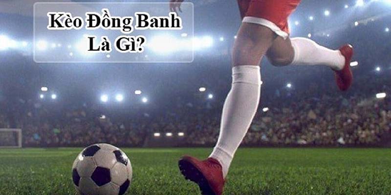 Tìm hiểu khái niệm đồng banh